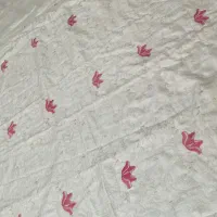 روتختی سالم و زیبا