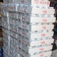 تن ماهی شیلتون بقیمت عمده ۱۶۷