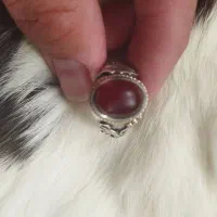 انگشتر شیروخورشید1346|کلکسیون اشیاء عتیقه|همدان, |دیوار