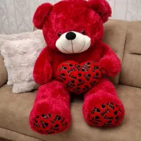 شاسخین|اسباب‌‌بازی|سنندج, |دیوار