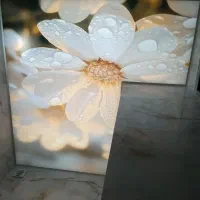 دکوراسیون داخلی ساختمان سقف های کاذب|خدمات پیشه و مهارت|بابلسر, |دیوار