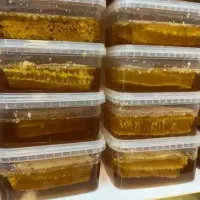 عسل طبیعی|خوردنی و آشامیدنی|کرمانشاه, |دیوار