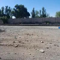 ااکیپ بلوکه زن