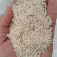 برنج هاشمی|خوردنی و آشامیدنی|اردبیل, |دیوار