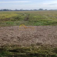 زمین کشاورزی روستای ریخک سفلی