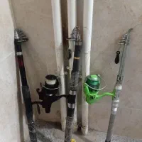 لنسر ماهیگیری