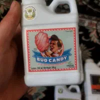 لوازم گلخانه اتاق کشت ایران گرولایت و کود ادونس|خدمات باغبانی و درختکاری|رباطکریم, الارد|دیوار