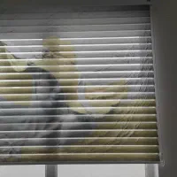 زبرای چاپی ارتفاع۱۲۰وعرض ۱۴۹