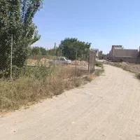 ۳۵۰متر زمین بعد از باشگاه علی آباد