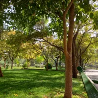 مشاوره مالی|فعالیت داوطلبانه|مشهد, کوثر|دیوار