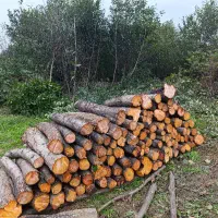 خریدار چوب وهیزم