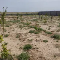 فروش زمین ۱۰۰۰ متری در پنج تن آل عبا