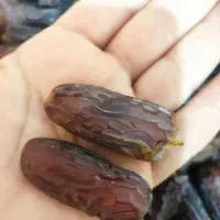 خرما پیارم لوکس درجه یک.|حراج|داراب, |دیوار