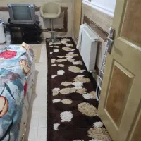 فرش شگی ۹متری ترک زیبادرحدنو،وچند تا گلیم فرش سالم|فرش|زاهدان, |دیوار