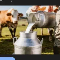 کارگر ساده گاوداری