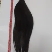 موطبیعی61سانت