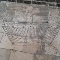 قفس قناری|لوازم جانبی حیوانات|مشهد, تلگرد|دیوار