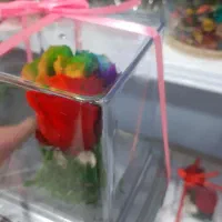 گل رز جاودان|گل و گیاه طبیعی|الوند, |دیوار