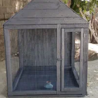 قفس پرنده معاوضه با جفت عروس آلبینو مولد یا فروش|لوازم جانبی حیوانات|چابهار, |دیوار