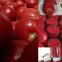 رب گورجه درجه یک