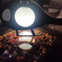 لوستر تزیینی|لوستر و چراغ آویز|تهران, والفجر (افسریه)|دیوار