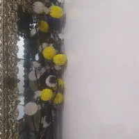 شاخه گل زیبا