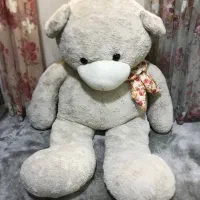خرس بزرگ یک متر و نیم