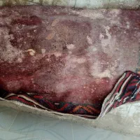 سفره فرش سنتی قدمت بالا|گلیم، جاجیم، گبه|شیراز, داریون|دیوار