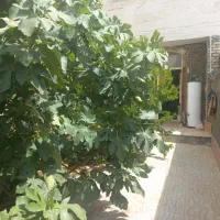 خانه-مسافر