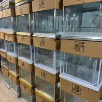 طبق وباکس بله برون و باکس کاپ کیک