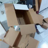 کارتن