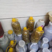 خیار شور