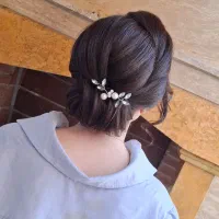 شینیونکار سیار