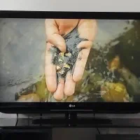 تی وی|تلویزیون و پروژکتور|پردیس, فاز ۸|دیوار