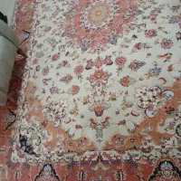 فرش|فرش|سهند, |دیوار