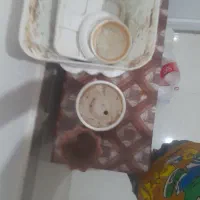 گلدان|صنایع دستی و سایر لوازم تزئینی|کنگاور, |دیوار