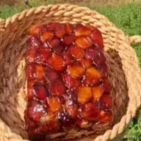 خرمای ارگانیک جم، بوشهر|خوردنی و آشامیدنی|بندر کنگان, |دیوار