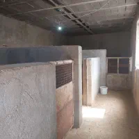 اجاره دامداری ،انبار