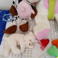 عروسک|اسباببازی بچه|شاهینشهر, بنیاد ازدواج|دیوار