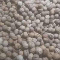 گردو|عمده‌فروشی|اهواز, بهارستان|دیوار