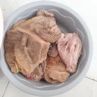 گوسفنده زنده گوشت جگر سیرابی