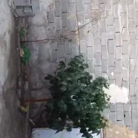 خانه ویلای در حصار|فروش خانه و ویلا|کرج, حصار|دیوار