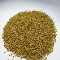 بذر یونجه پایه بلند همدانی