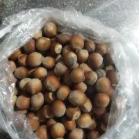 فندق قاضی‌جهان محلی