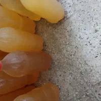 سرکه ی طبیعی|خوردنی و آشامیدنی|مشهد, کوی المهدی|دیوار