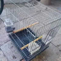 قفس عروس