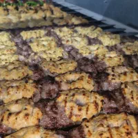 استخدام منقل کار حرفه ای