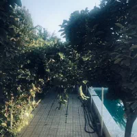 اجاره سالیانه