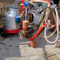 شیردوش گاوی