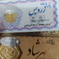زنجیر و سکه پارسیان